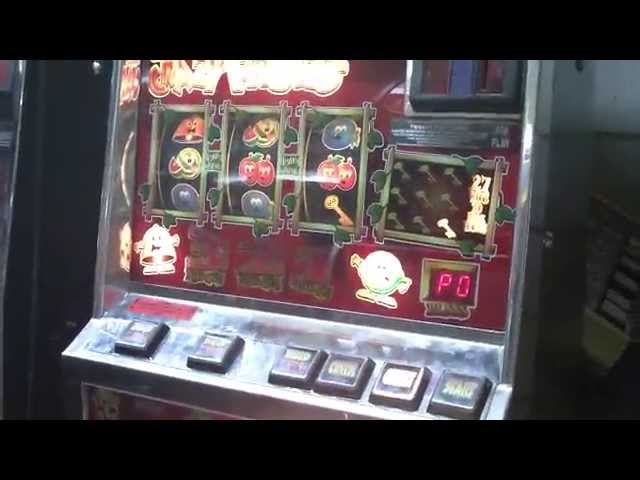 $5 deposit casino Beetle Frenzy